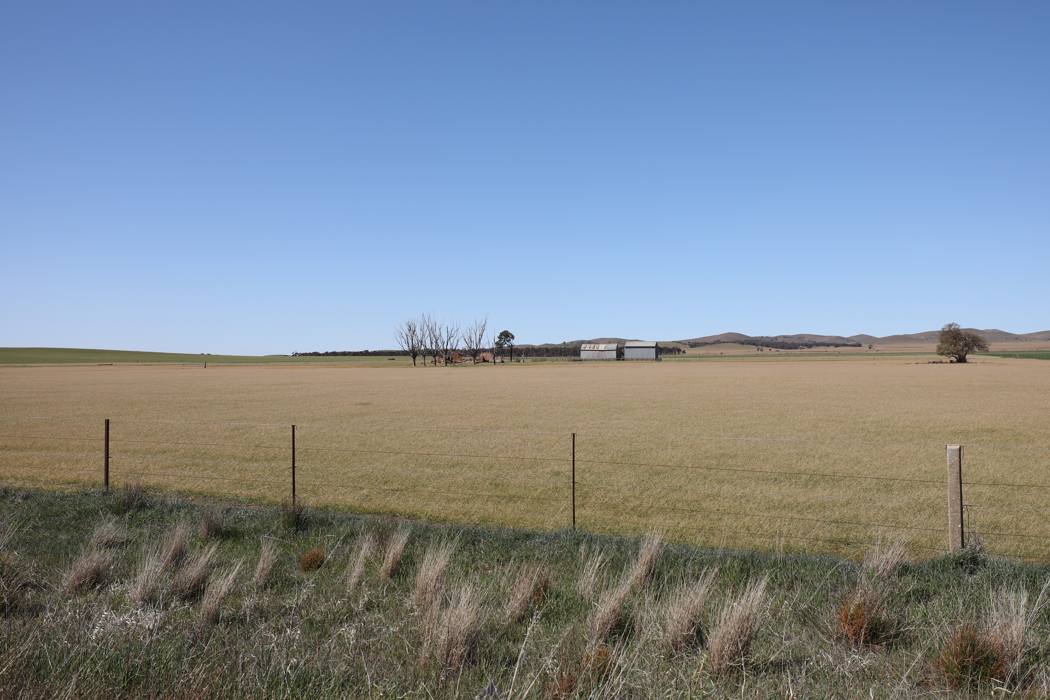 2019 08 31 13 55 19 Canon EOS 5D Mark IV 0003